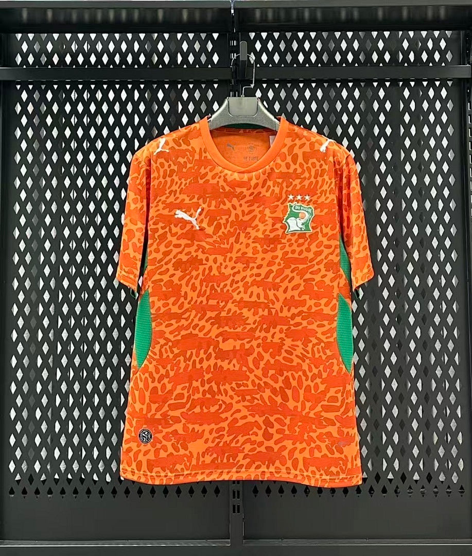 Maillot de Football Domicile Côte d'Ivoire Coupe du Monde 2026